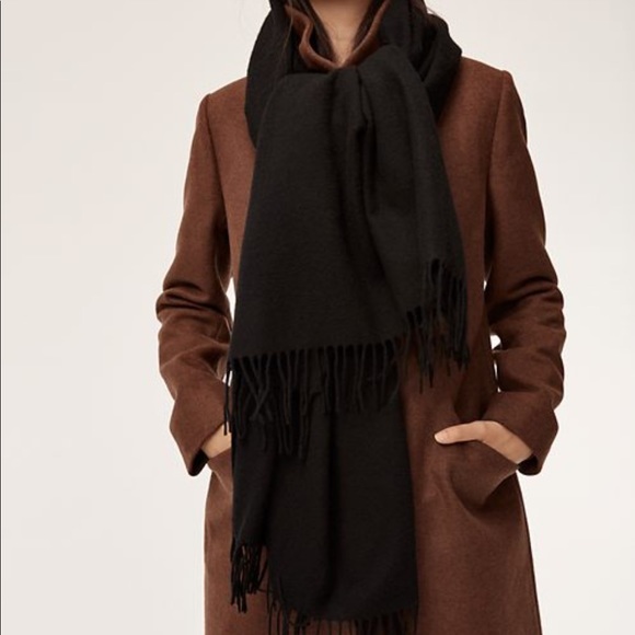 Aritzia Accessories - WILFRED (ARITZIA) The Classic Wool Scarf